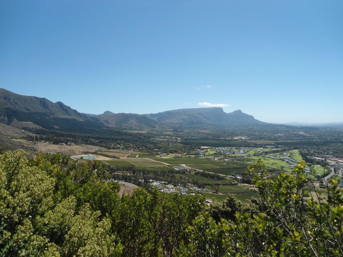 Constantia Cottages Екстер'єр фото